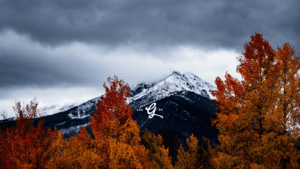 Goodson Fall & Winter Collection